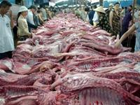 Thịt bò ngoại khó chen chân!